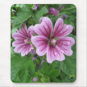 Franse Mallows Photo Mousepad Muismat (Voorkant)