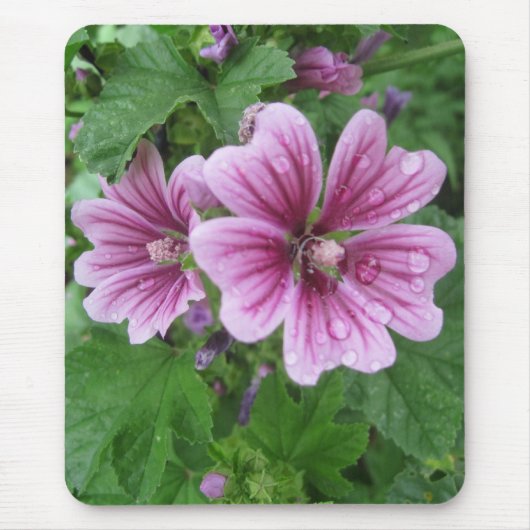 Franse Mallows Photo Mousepad Muismat (Voorkant)