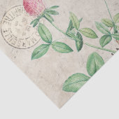 Franse Manuscript Bee Roze Clover Flower Honey Mus Tissuepapier (Detail)