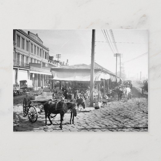 Franse markt in New Orleans, 1906 Briefkaart (Voorkant)