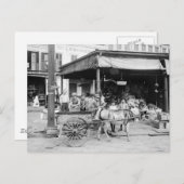 Franse markt, New Orleans, 1910 Briefkaart (Voorkant / Achterkant)