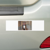Franse Mastiff Bumpersticker (Op auto)