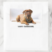 Franse Mastiff Deadpan Dog Merry Christmas Sticker (Tas)