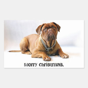 Franse Mastiff Deadpan Dog Merry Christmas Sticker