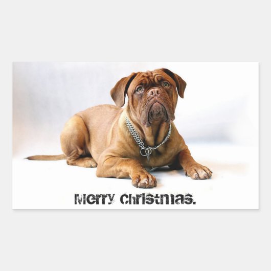 Franse Mastiff Deadpan Dog Merry Christmas Sticker (Voorkant)