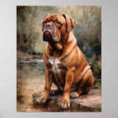 Franse Mastiff Dog Art Print Poster (Voorkant)