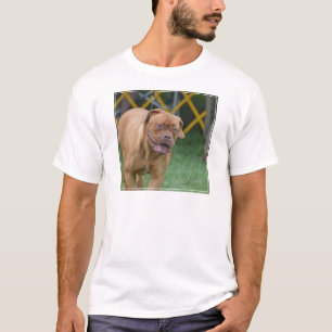 Franse Mastiff Dog T-shirt