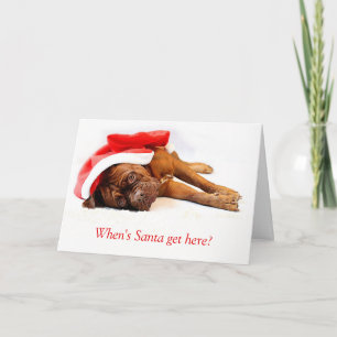 Franse Mastiff Kerst Kaart