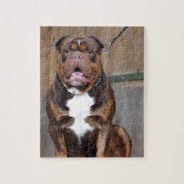 Franse Mastiff Legpuzzel