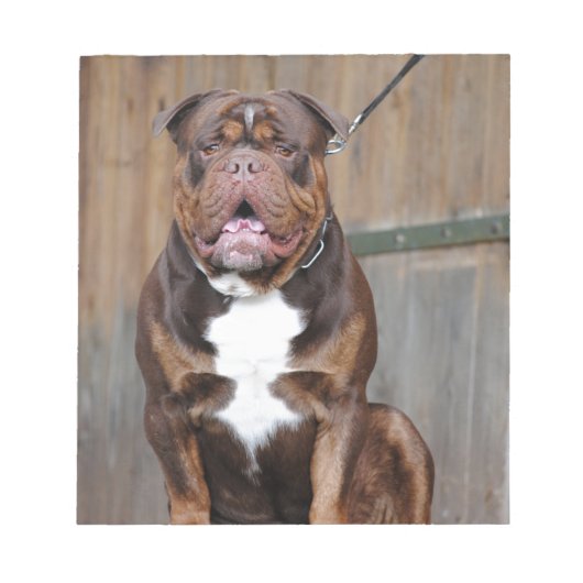 Franse Mastiff Notitieblok (Voorkant)