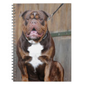 Franse Mastiff Notitieboek (Voorkant)