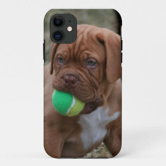 Franse Mastiff Puppy iPhone 11 Hoesje