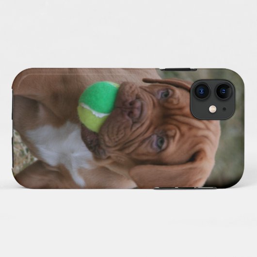 Franse Mastiff Puppy Case-Mate iPhone Case (Achterkant (horizontaal))