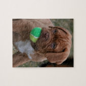 Franse Mastiff Puppy Legpuzzel (Horizontaal)