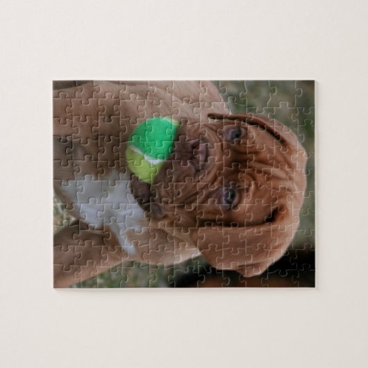 Franse Mastiff Puppy Legpuzzel (Horizontaal)