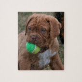 Franse Mastiff Puppy Legpuzzel (Verticaal)