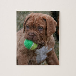 Franse Mastiff Puppy Legpuzzel