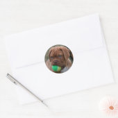 Franse Mastiff Puppy Ronde Sticker (Envelop)