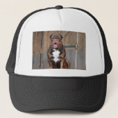 Franse Mastiff Trucker Pet (Voorkant)