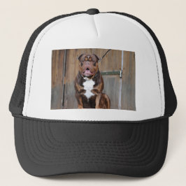 Franse Mastiff Trucker Pet