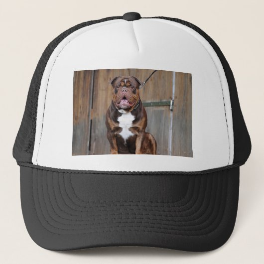 Franse Mastiff Trucker Pet (Voorkant)