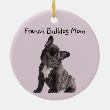 Franse Moeder Franse Bulldog 
