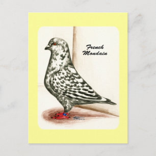 Franse Mondain 1973 Briefkaart