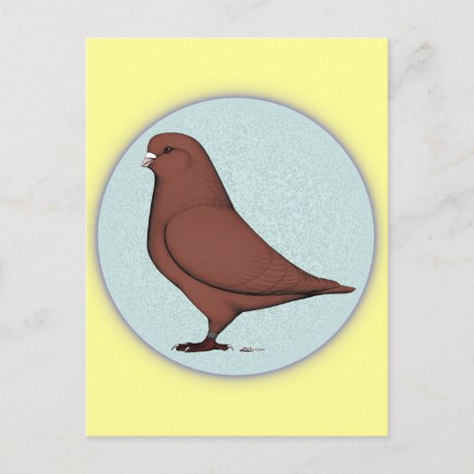 Franse Mondain Pigeon Circle Briefkaart (Voorkant)