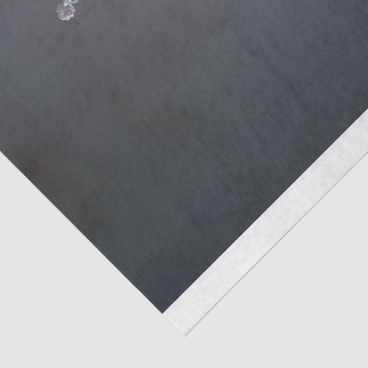 franse nobel mystieke kat ontkoppeling tissuepapier (Detail)