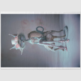 franse nobel mystieke kat ontkoppeling tissuepapier