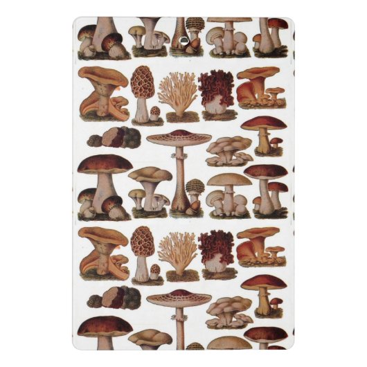 franse  paddenstoelenbos botanisch mini klembord (Achterkant)
