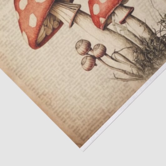 Franse paddenstoelpagina-ontkoppeling Tissuepapier (Detail)