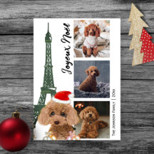 Franse poodle Eiffel Tower Foto Parijs Kerstmis
