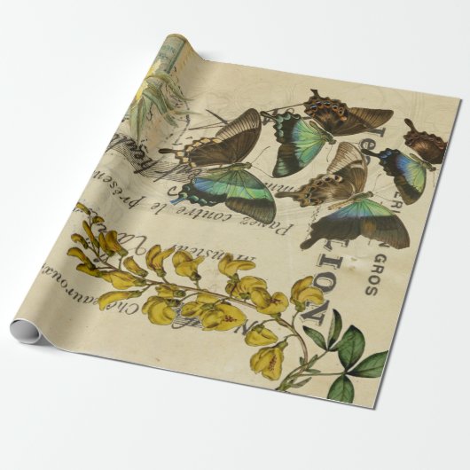 Franse posters voor ontkoppeling van vlinders cadeaupapier (Uitgerold)