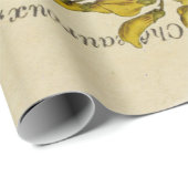 Franse posters voor ontkoppeling van vlinders cadeaupapier (Rol Hoek)