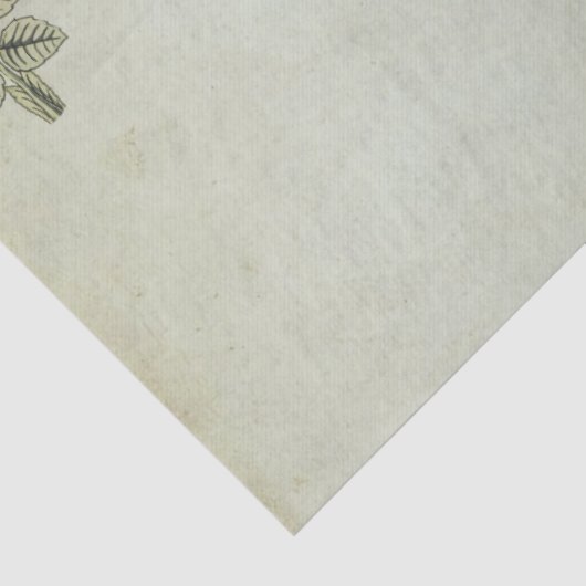 Franse Proverb Bird Nest Rozen  ontkoppeling Tissuepapier (Detail)