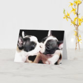 Franse puppies kaart (Gele Bloem)