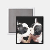 Franse puppies magneet (Voorkant / Achterkant)