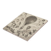 Franse reclame voor ballonfabrikant tegeltje (Zijkant)