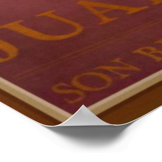  Franse reisreclame Poster (Hoek)