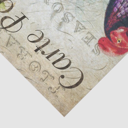 Franse rode roodrooster tissuepapier (Detail)