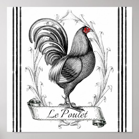 Franse Rooster Le Poulet Poster (Voorkant)