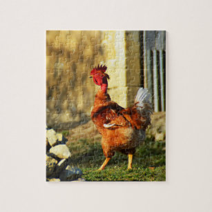 Franse rooster legpuzzel