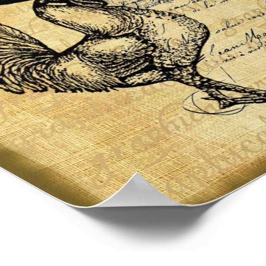  franse rooster op schoot poster (Hoek)