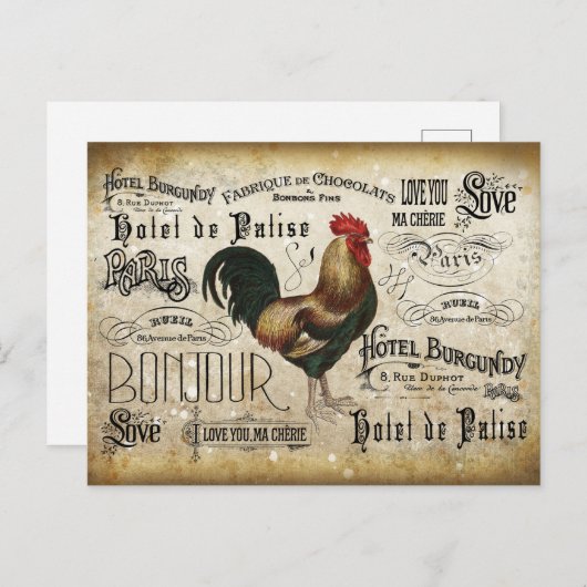Franse Rooster te Parijs Briefkaart (Voorkant / Achterkant)