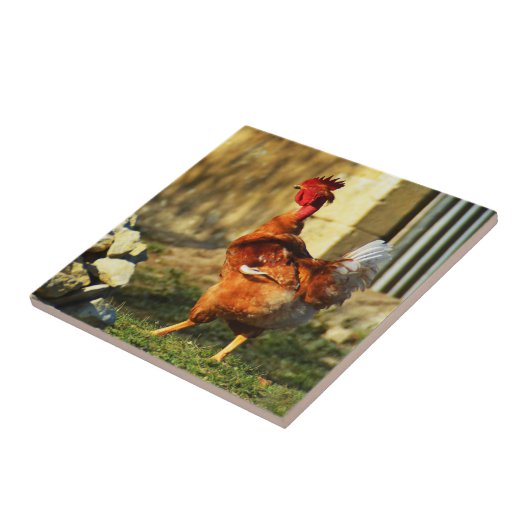 Franse rooster tegeltje (Zijkant)