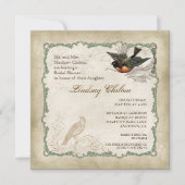 Franse Rozen Tortelduifjes Swirl  Lace - Aqua Kaart (Voorkant)