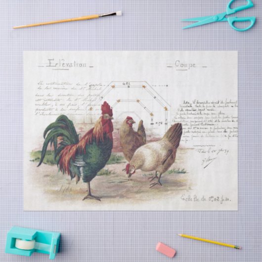 Franse Script Hen Chicken Farmhouse Decoupage Tissuepapier (Craft)