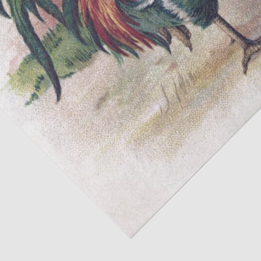 Franse Script Hen Chicken Farmhouse Decoupage Tissuepapier (Detail)