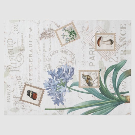  Franse Script Natuur Flower Bird Mushroom Tissuepapier (Voorkant)